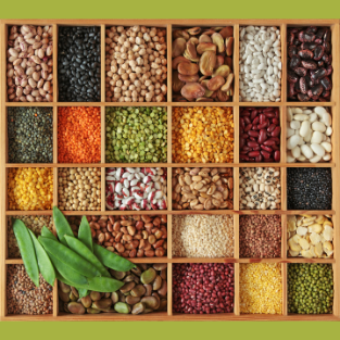 Why Food Security Matters After Incarceration