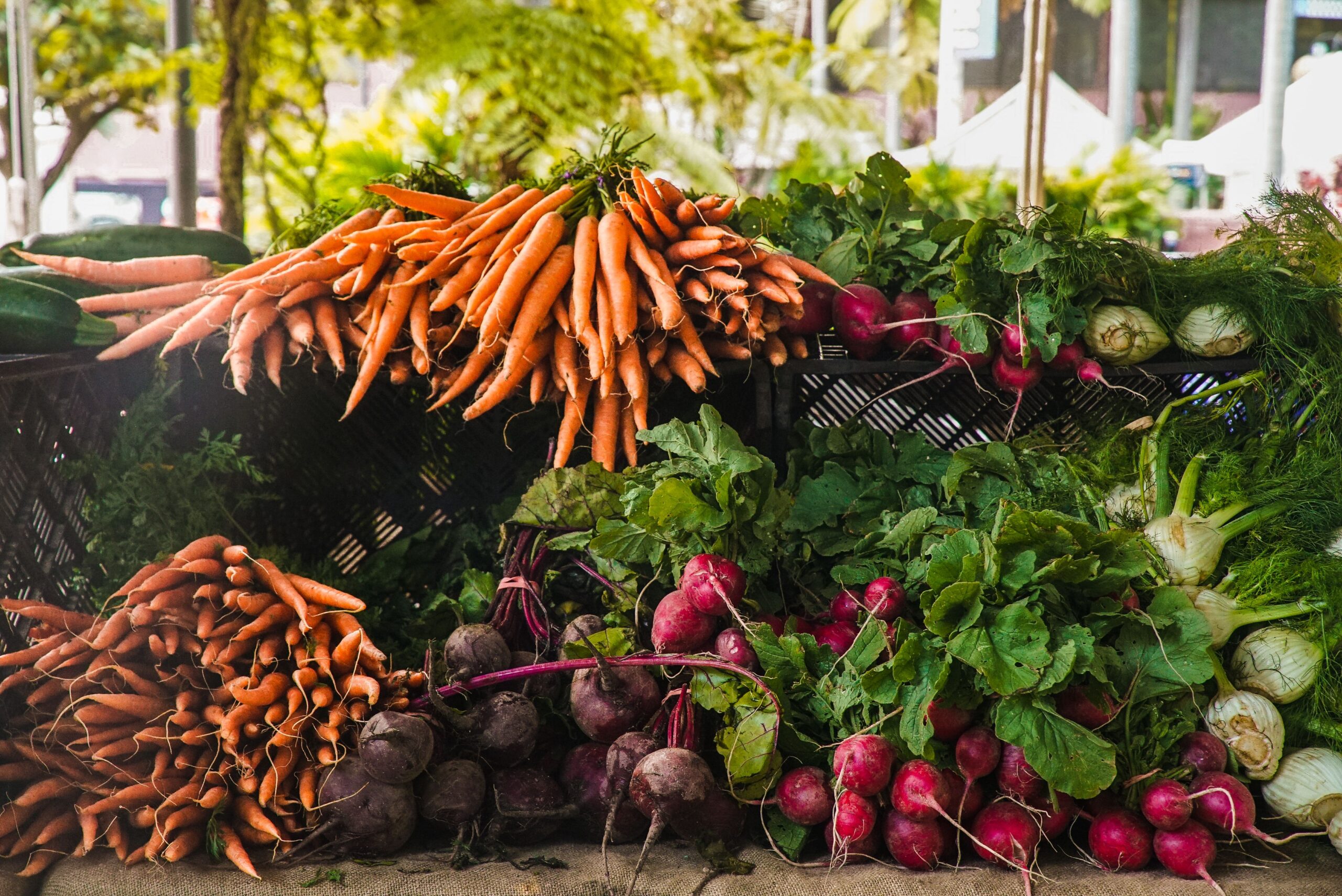 Bunches of fresh carrots, beets, radishes and fennel stacked at a farmers market stand